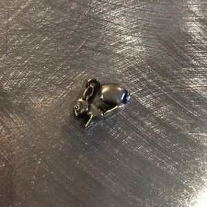 Cottontail Rabbit Charm